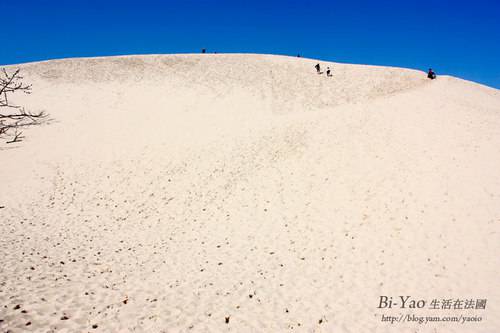 【西南法】歐洲最大沙丘La Dune du Pyla