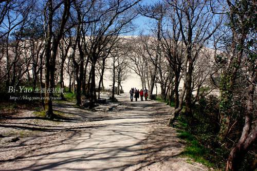 La-Dune-du-Pyla-003