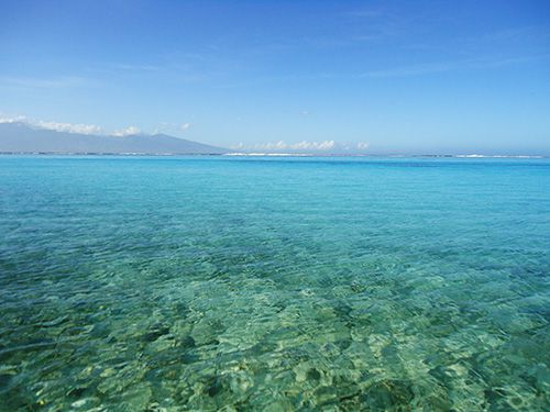 玻里尼西亞旅遊 大溪地鄰島茉莉亞島moorea